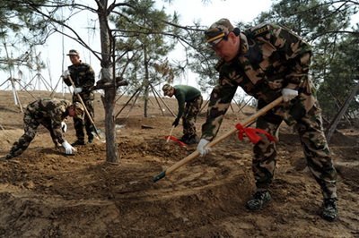 ���ִ����������ֲ��Ϊ�׶�����