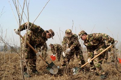 ���ִ����������ֲ��Ϊ�׶�����