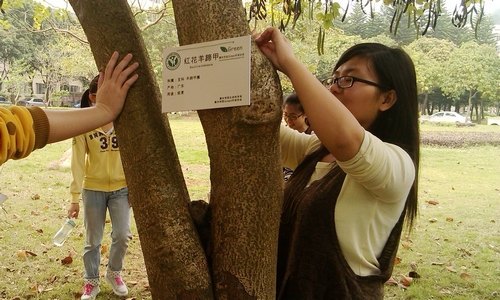 珍爱绿色   亲近自然  校园植物有了“身份证”