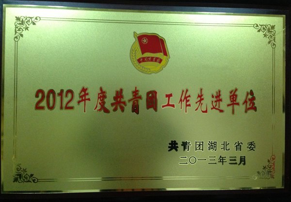武汉工程大学荣获全省“2012年度共青团工作先进单位”
