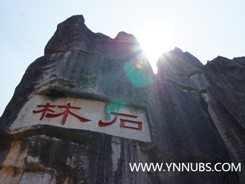 云南师范大学商学院2013年泰国普吉府、帕尧府学生访学团石林一日游活动圆满结束