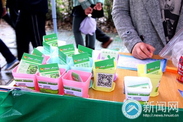 微博分享绿植 变身低碳达人