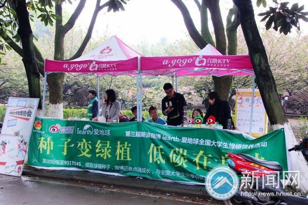 微博分享绿植 变身低碳达人