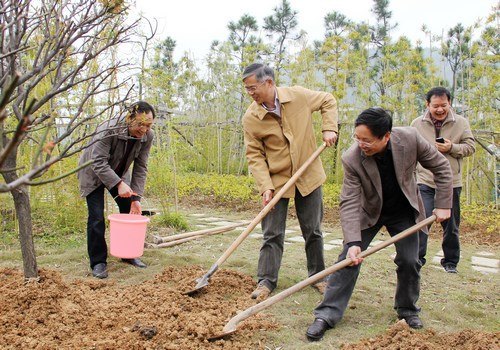 ����80��У�ѻ�ĸУֲ������