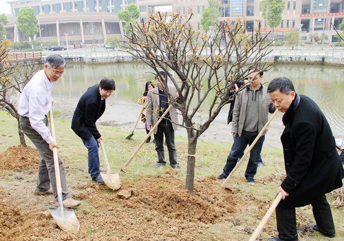 ����80��У�ѻ�ĸУֲ������