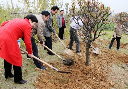 ����80��У�ѻ�ĸУֲ������