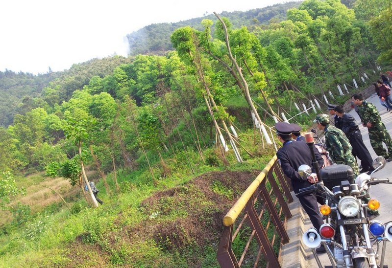 �������ɹ�������������