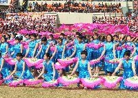 郑州大学2013“阳光体育田径运动会”图片新闻(三)