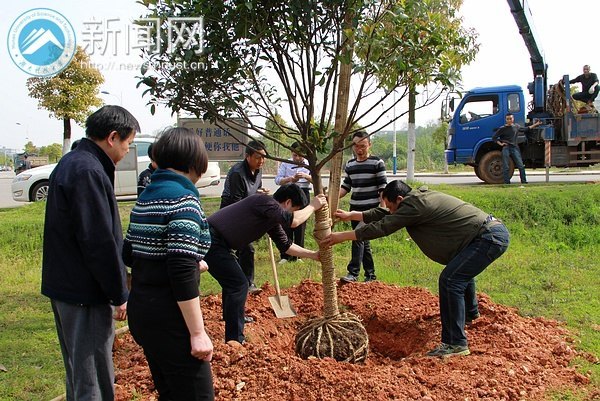 ��������ɫ�ƴ󡱣�����������ľ����ѧԺ��֧������ֲ�����䷶