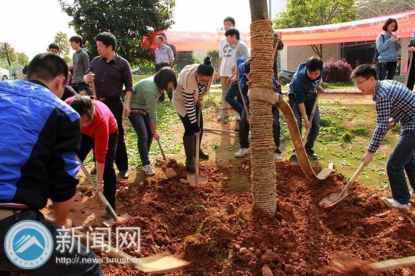 ��������ɫ�ƴ󡱣�����������ľ����ѧԺ��֧������ֲ�����䷶