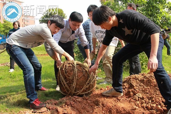 ��������ɫ�ƴ󡱣�����������ľ����ѧԺ��֧������ֲ�����䷶