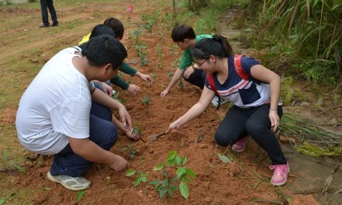 ѧϵٰ׽ĻڿĻʽʵѵ԰ʽ