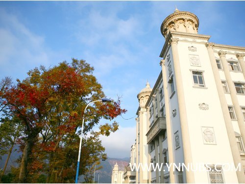祝贺云南师范大学商学院成为云南省首个通过教学工作评估的独立学院