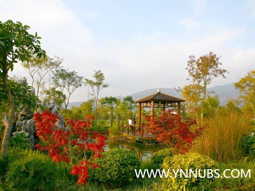 祝贺云南师范大学商学院成为云南省首个通过教学工作评估的独立学院