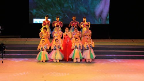 湖北工业大学大学生艺术团绽放英山茶文化节