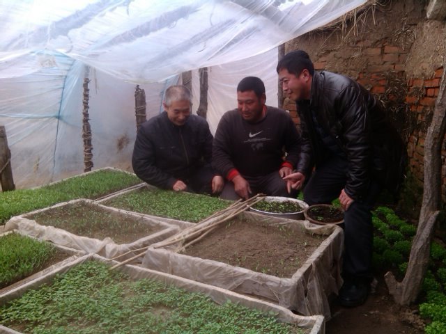 传统模式创新运用 切实增强大学生思想教育效果传统模式创新运用 切实增强大学生思想教育效果