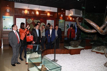 ߵѧУƻ2011ƻũƷؼӹȫЭͬġר֤ڲѧٿ