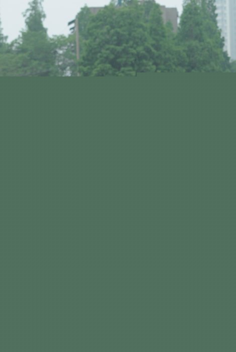 2013��У�ﾶ�˶�����Ӱ����(�������¡���)