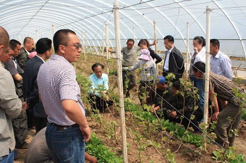 ����ط���ũʱ����ط���ũʱ