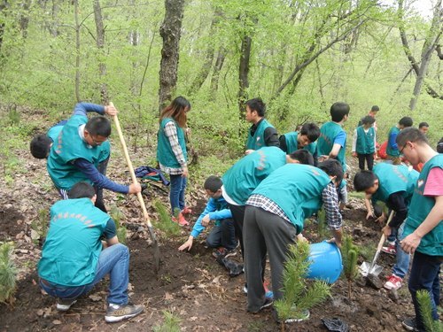 创绿荫之城 植梦想之林创绿荫之城 植梦想之林