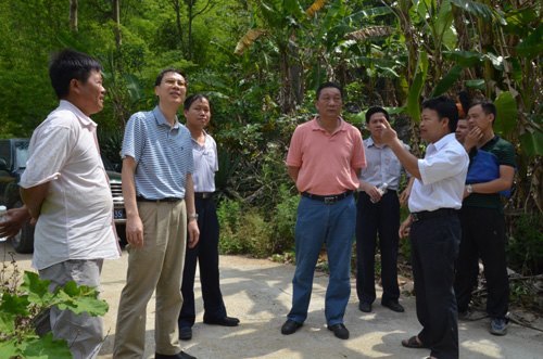 刘力书记率队赴广西师范学院扶贫联系点开展“美丽陇接•清洁乡村”活动