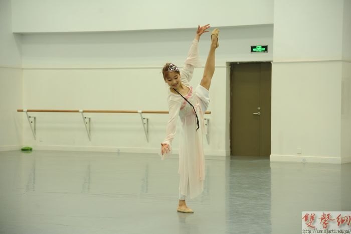 �赸ѧԺ������ս���������������������赸��Ա����