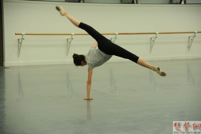 �赸ѧԺ������ս���������������������赸��Ա����