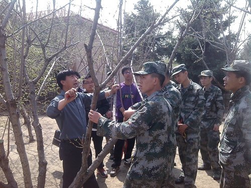 社会实践入部队 军民共建鱼水情社会实践入部队 军民共建鱼水情