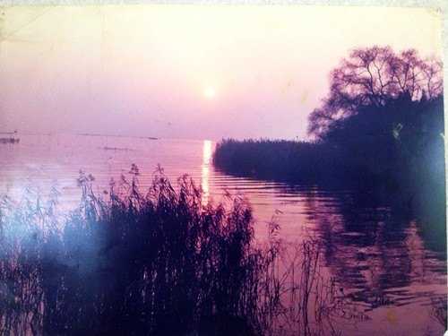 广东石油化工学院举行第四届大学生艺术作品展