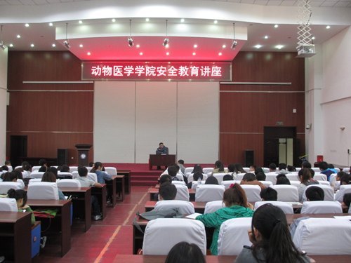 安全关系你我他 校园安全靠大家安全关系你我他 校园安全靠大家