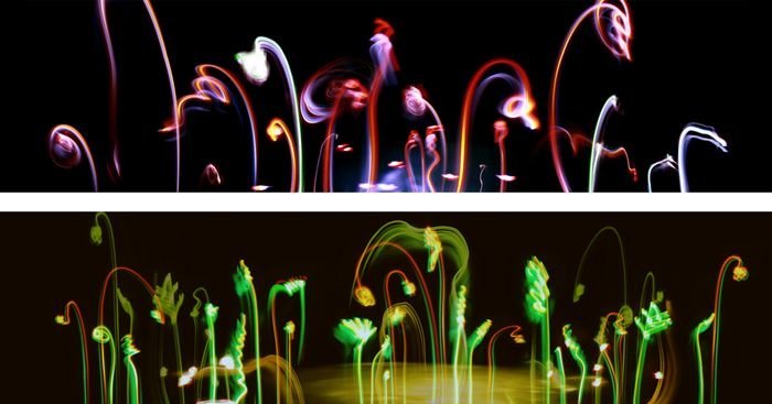 ��ýѧԺ����һ��չ�ɹ��ٰ�