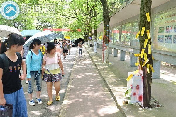 “HELLO 树先生” 商学院广告系树体艺术设计展震撼开启