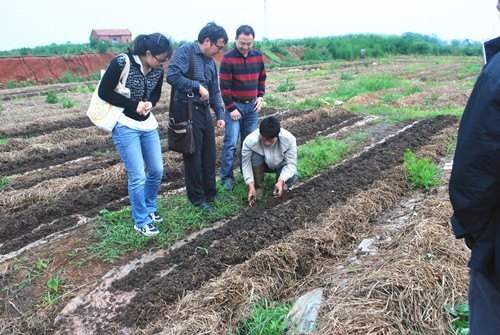 敬天乐土,自在耕耘—经济与政法学院赴江夏进行党建主题活动