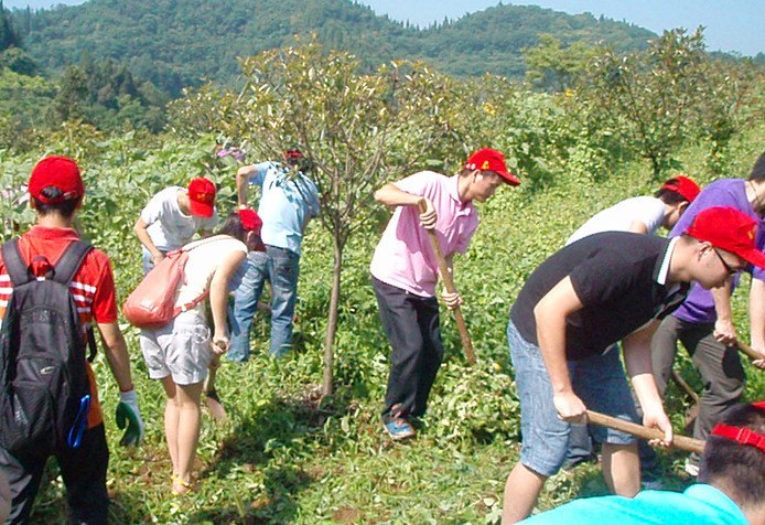用实际行动践行入党愿望——党校班委会成员参加义工联盟实践活动