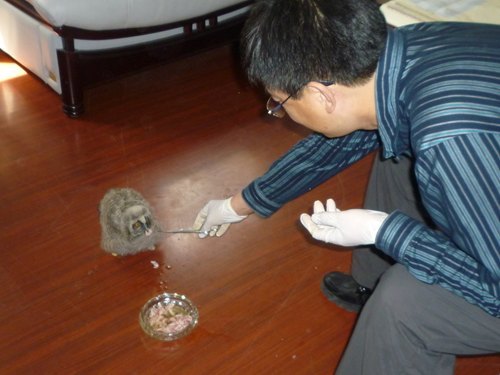 �ذ�����ġ����ˡ��ذ�����ġ����ˡ�