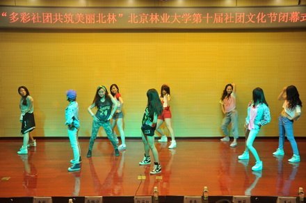 第十届社团文化节展现多彩社团文化