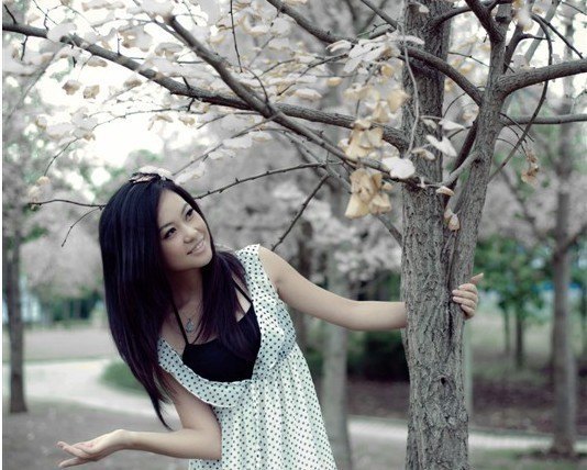 Һ죺ҵഺſ˳ǿ2013ҵϵб֮