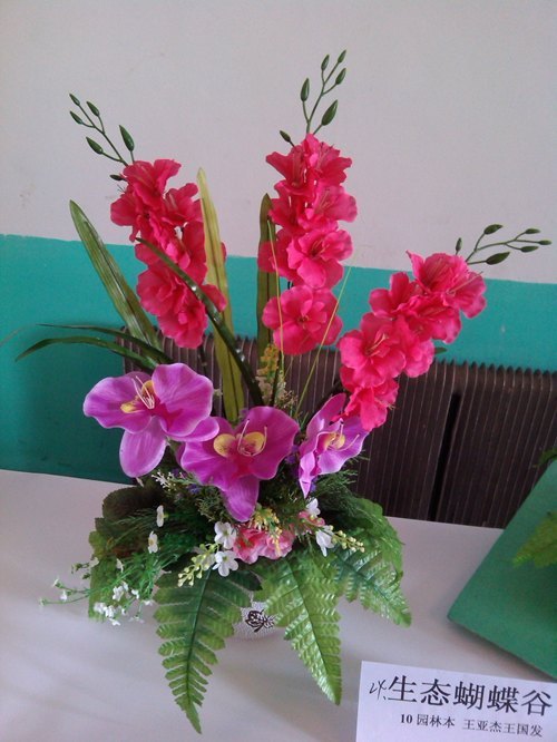 植物科学学院举行“绿知梦”插花大赛植物科学学院举行“绿知梦”插花大赛