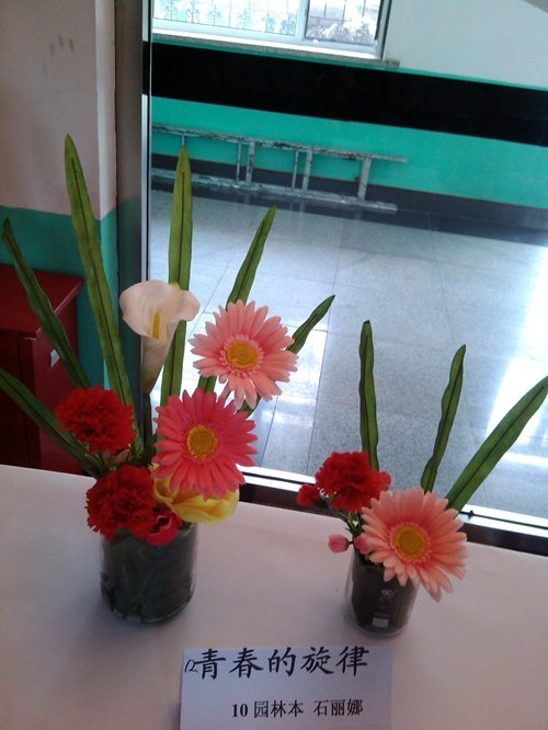 植物科学学院举行“绿知梦”插花大赛植物科学学院举行“绿知梦”插花大赛