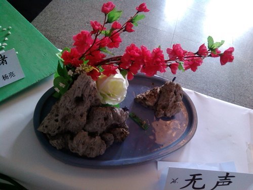 植物科学学院举行“绿知梦”插花大赛植物科学学院举行“绿知梦”插花大赛