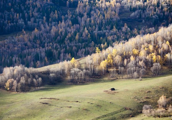 台州学院开展师生艺术作品征集活动