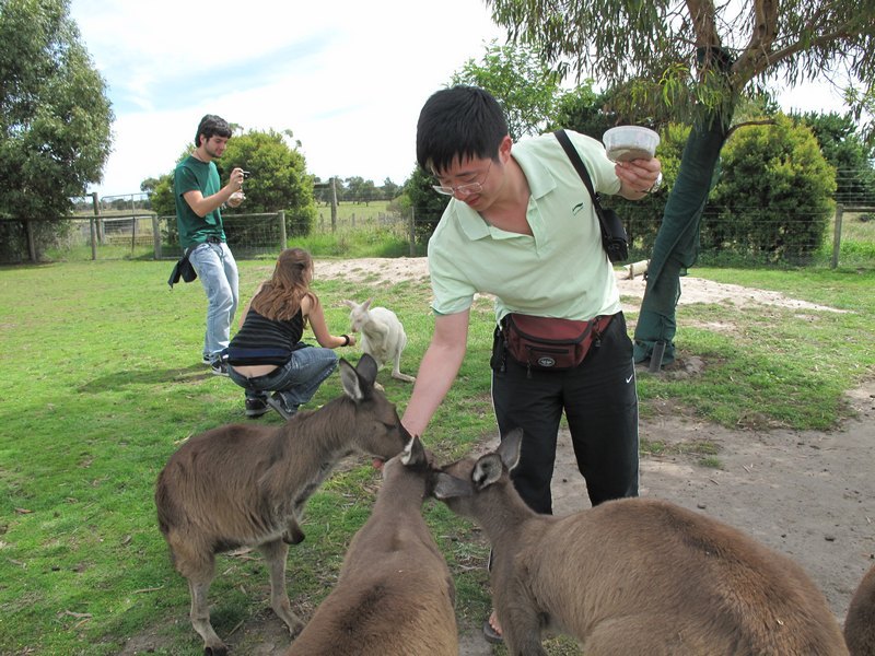 城科名师风采录之洪宇:“责任感驱使我成长”