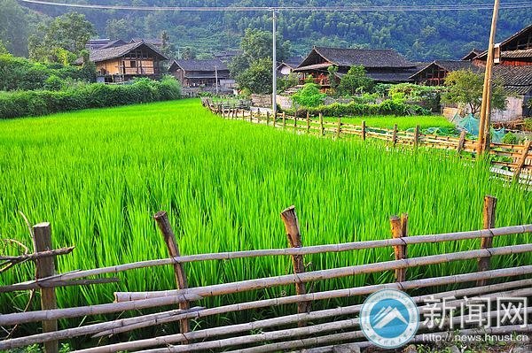 爱心之旅 再度启程——湖南科技大学学雷锋志愿服务组回访怀化高椅古村
