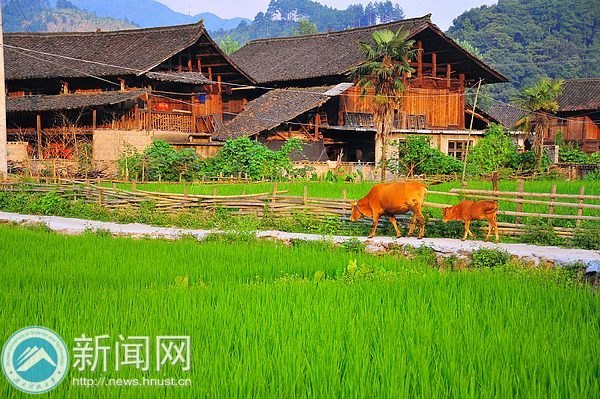 爱心之旅 再度启程——湖南科技大学学雷锋志愿服务组回访怀化高椅古村