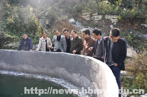 信息工程学院党员干部赴黄鹤村学习体验社会主义新农村建设