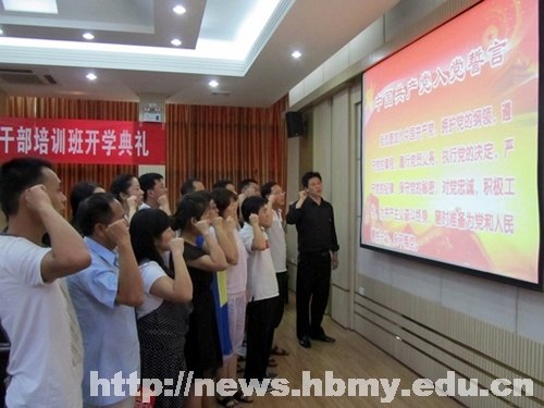 职业技术与继续教育学院开展“戴党徽 亮身份 树形象”活动