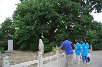 绿色长征31:京杭运河(古韵探寻)实践团