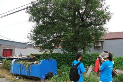 绿色长征31:京杭运河(古韵探寻)实践团