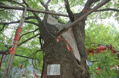绿色长征32：京杭运河（古韵探寻）实践团之二