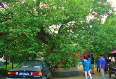 绿色长征32：京杭运河（古韵探寻）实践团之二